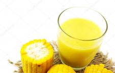 uong-nuoc-ngo-co-beo-khong